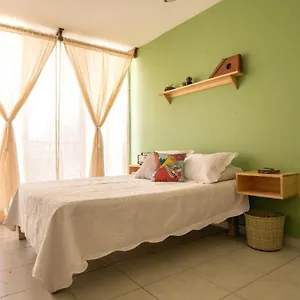  Pensiune Casa Matia Mexic